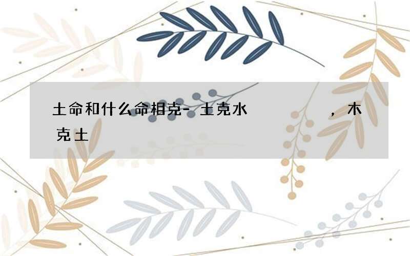 土命和什么命相克-土克水，木克土